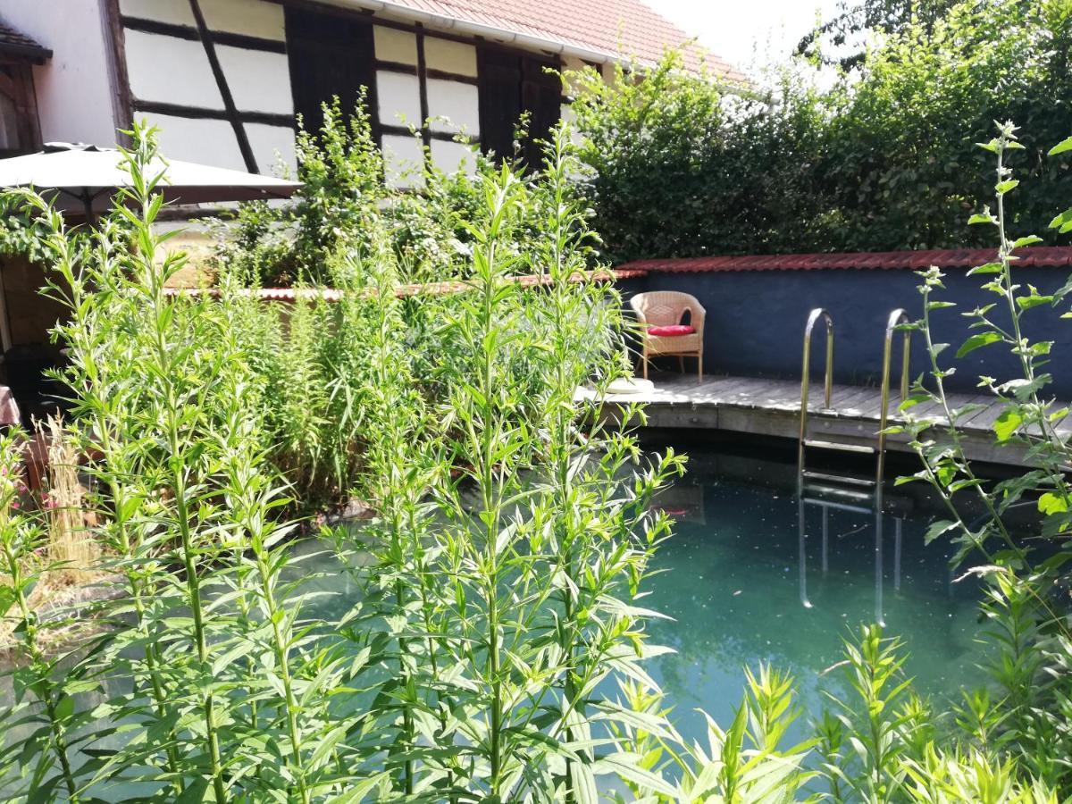 Apartament Haselbachstrasse 6 Ebensfeld Zewnętrze zdjęcie