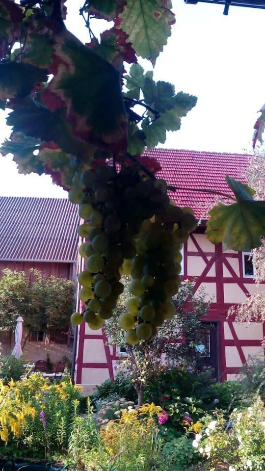 Apartament Haselbachstrasse 6 Ebensfeld Zewnętrze zdjęcie