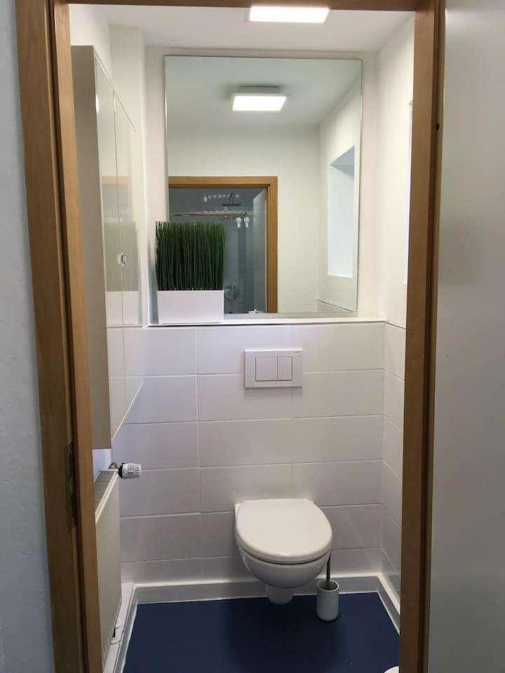 Apartament Haselbachstrasse 6 Ebensfeld Zewnętrze zdjęcie